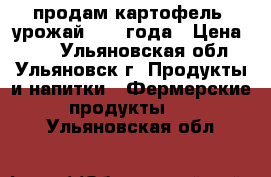 продам картофель. урожай 2017 года › Цена ­ 50 - Ульяновская обл., Ульяновск г. Продукты и напитки » Фермерские продукты   . Ульяновская обл.